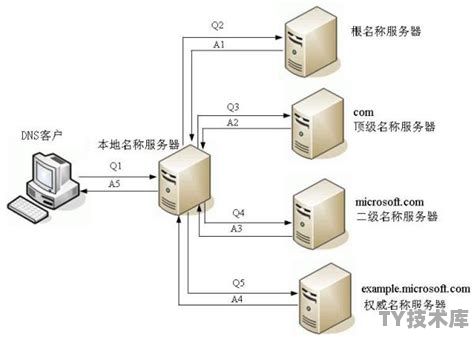 域名要绑定什么服务器呢